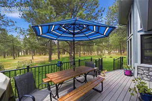 14355 Rankin Rd, Elbert, CO 80106 - Photo 39