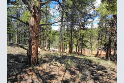 549 Circle Drive, Florissant, CO 80816 - Photo 29