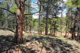 549 Circle Dr, Florissant, CO 80816 - Photo 29