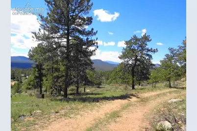 549 Circle Drive, Florissant, CO 80816 - Photo 5