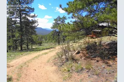 549 Circle Drive, Florissant, CO 80816 - Photo 3
