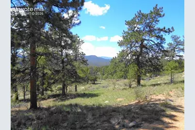549 Circle Drive, Florissant, CO 80816 - Photo 33