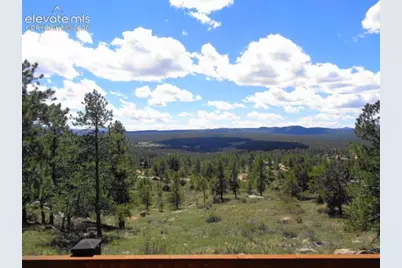 549 Circle Drive, Florissant, CO 80816 - Photo 31