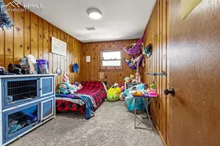 1030 Woodland Ave, Woodland Park, CO 80863 - Photo 19