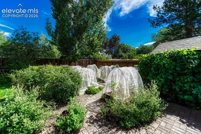 5050 Chickweed Drive, Colorado Springs, CO 80917 - Photo 37