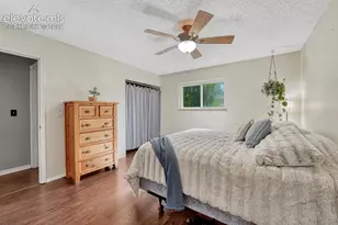 5050 Chickweed Dr, Colorado Springs, CO 80917 - Photo 29
