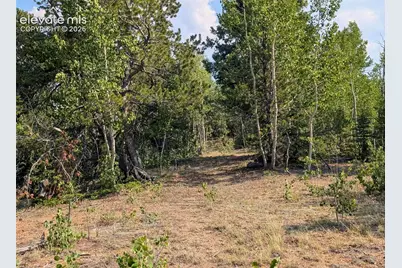 Fairview Drive, Cripple Creek, CO 80813 - Photo 11