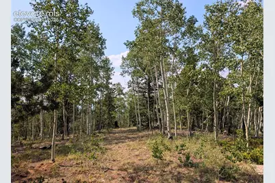 Fairview Drive, Cripple Creek, CO 80813 - Photo 9