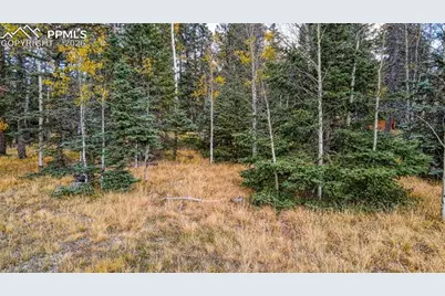 166 Denwood Drive, Florissant, CO 80816 - Photo 5