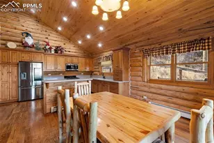 9110 Mountain Rd, Cascade, CO 80809 - Photo 11