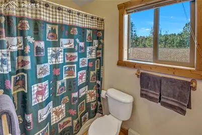 71 Durelli Drive, Woodland Park, CO 80863 - Photo 35