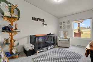 6630 Buckboard Dr, Peyton, CO 80831 - Photo 23