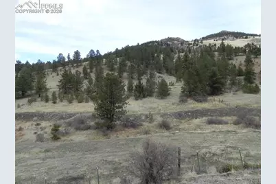 521 Monarch Drive, Cripple Creek, CO 80813 - Photo 11