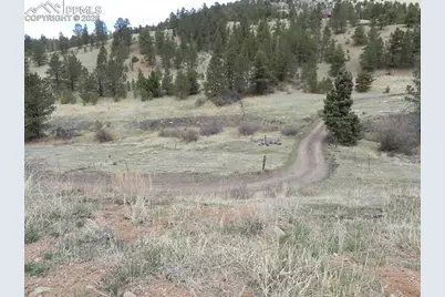 521 Monarch Drive, Cripple Creek, CO 80813 - Photo 7