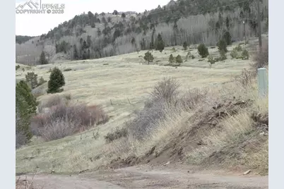 521 Monarch Drive, Cripple Creek, CO 80813 - Photo 5