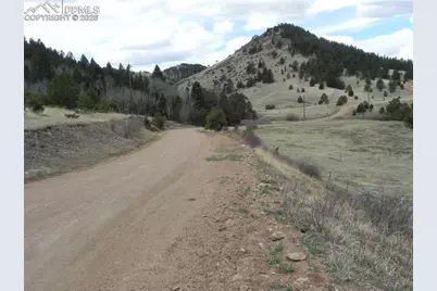 521 Monarch Drive, Cripple Creek, CO 80813 - Photo 9