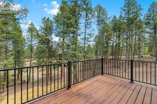 15 Juniper Cir, Florissant, CO 80816 - Photo 49