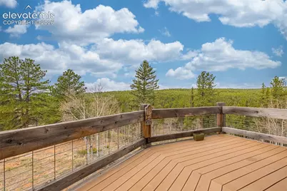 1736 County Road 3 Road, Florissant, CO 80816 - Photo 19