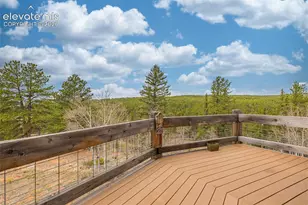 1736 County Road 3 Rd, Florissant, CO 80816 - Photo 19