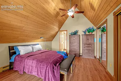 1736 County Road 3 Road, Florissant, CO 80816 - Photo 31