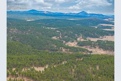 1736 County Road 3 Road, Florissant, CO 80816 - Photo 39