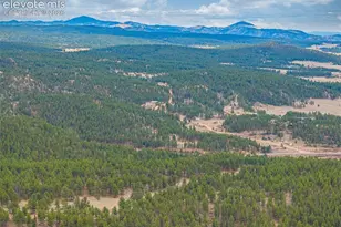 1736 County Road 3 Rd, Florissant, CO 80816 - Photo 39