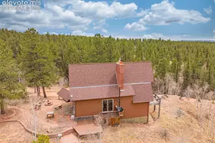 1736 County Road 3 Rd, Florissant, CO 80816 - Photo 47