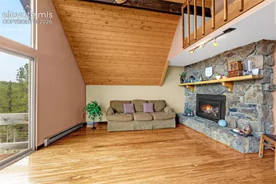 1736 County Road 3 Road, Florissant, CO 80816 - Photo 21