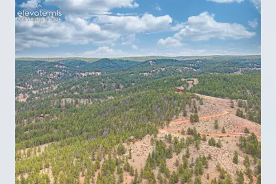 1736 County Road 3 Road, Florissant, CO 80816 - Photo 41