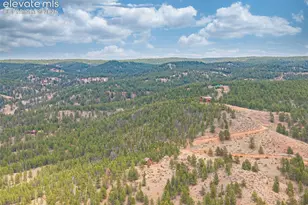 1736 County Road 3 Rd, Florissant, CO 80816 - Photo 41