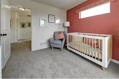 11308 Pura Vida Way, Fountain, CO 80817 - Photo 19