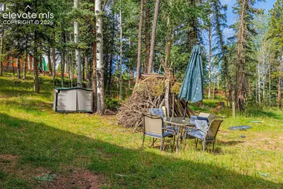 108 Spring Valley Lane, Florissant, CO 80816 - Photo 39
