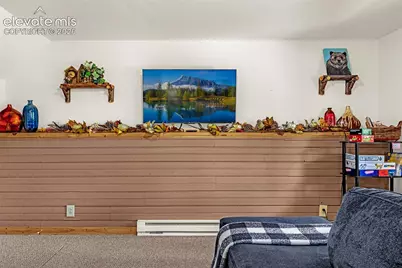108 Spring Valley Lane, Florissant, CO 80816 - Photo 31