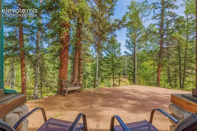 108 Spring Valley Lane, Florissant, CO 80816 - Photo 23