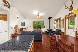 108 Spring Valley Ln, Florissant, CO 80816 - Photo 13