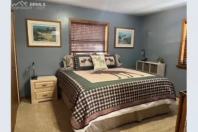 1234 Edelweiss Drive, Westcliffe, CO 81252 - Photo 13
