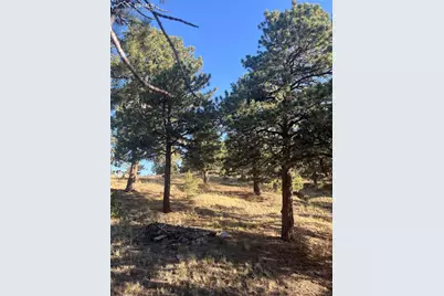 1234 Edelweiss Drive, Westcliffe, CO 81252 - Photo 23