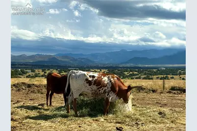 8650 Highway 67, Florence, CO 81226 - Photo 5