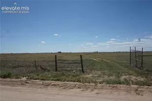 143 N Holtwood Rd, Rush, CO 80833 - Photo 1