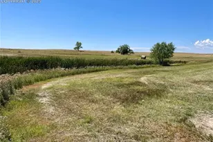 20655 Co Rd 101, Ramah, CO 80832 - Photo 13