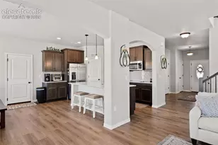 8412 Noreen Falls Dr, Colorado Springs, CO 80924 - Photo 11