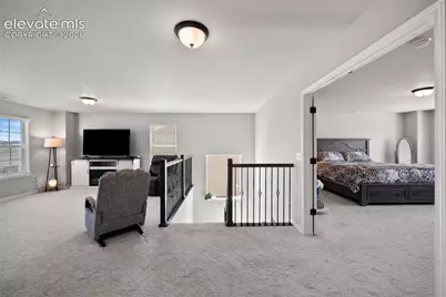 8412 Noreen Falls Drive, Colorado Springs, CO 80924 - Photo 21
