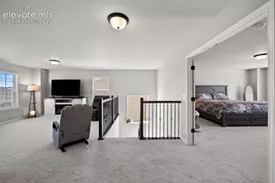 8412 Noreen Falls Dr, Colorado Springs, CO 80924 - Photo 21