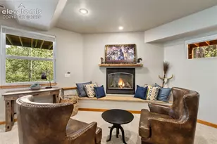 117 Fluorite Ln, Divide, CO 80814 - Photo 39