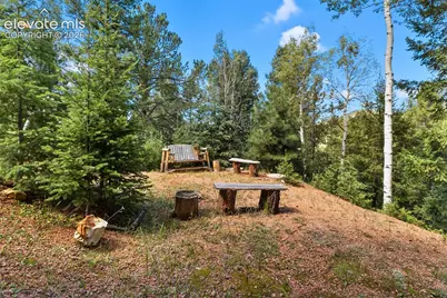 117 Fluorite Lane, Divide, CO 80814 - Photo 47