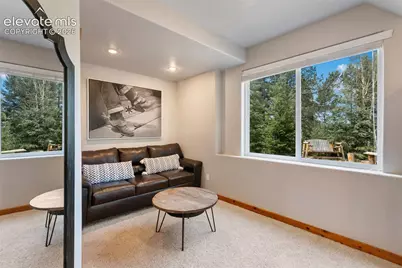 117 Fluorite Lane, Divide, CO 80814 - Photo 45
