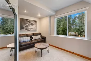 117 Fluorite Ln, Divide, CO 80814 - Photo 45