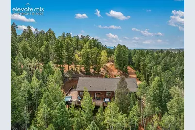 117 Fluorite Lane, Divide, CO 80814 - Photo 5