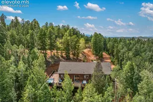 117 Fluorite Ln, Divide, CO 80814 - Photo 5