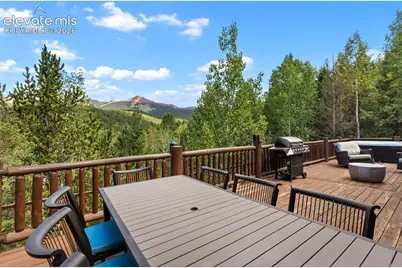 117 Fluorite Lane, Divide, CO 80814 - Photo 3